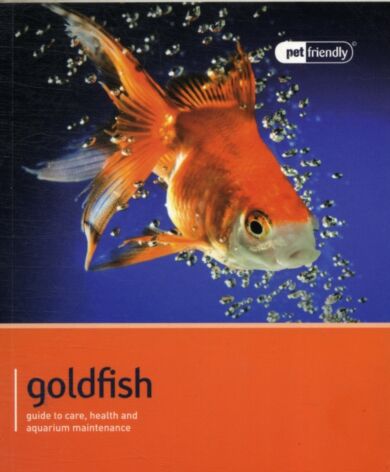 Goldfish - Pet Friendly