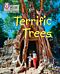 Terrific Trees