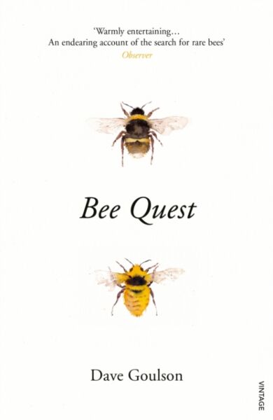 Bee Quest