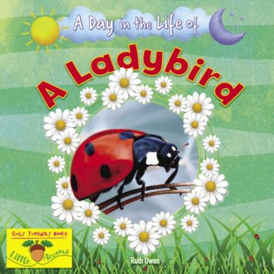 A Ladybird