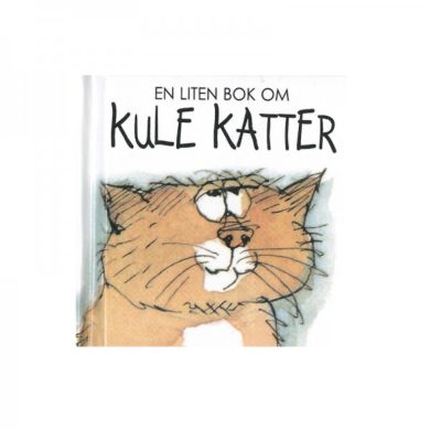 En liten bok om katter