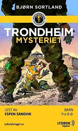 Trondheim-mysteriet