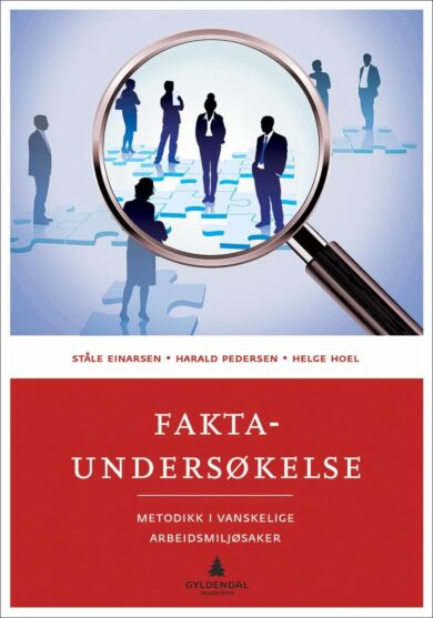 Faktaundersøkelse