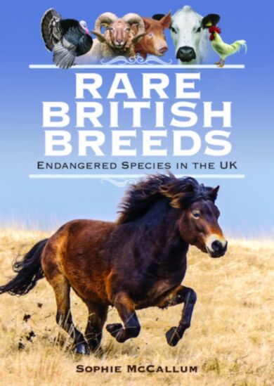 Rare British Breeds