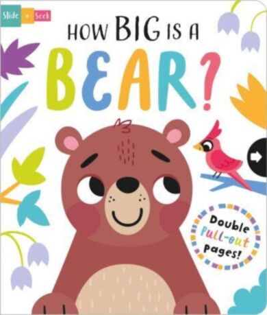 How Big is a Bear?