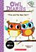 Eva and the New Owl: A Branches Book (Owl Diaries #4)