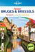 Pocket Bruges & Brussels