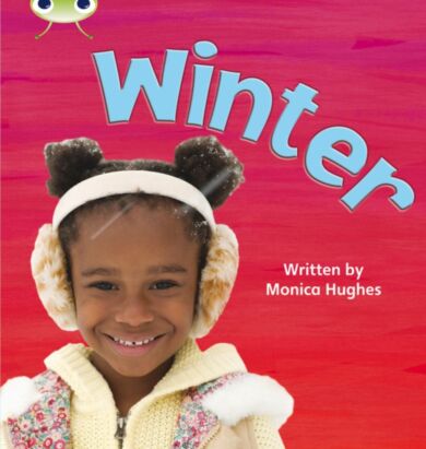 Bug Club Phonics Non Fiction Reception Phase 3 Set 11 Winter