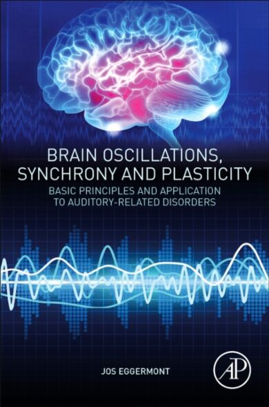 Brain Oscillations, Synchrony and Plasticity