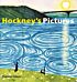 Hockney's Pictures