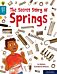 Oxford Reading Tree Word Sparks: Level 9: The Secret Story of Springs