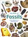 My Book of Fossils