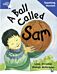 Rigby Star Guided Reading Blue Level: A Ball Called Sam Teaching Version