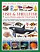 World Encyclopedia Of Fish & Shellfish And Other Aquatic Creatures