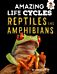 Reptiles and Amphibians - Amazing Life Cycles