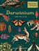 Darwinium