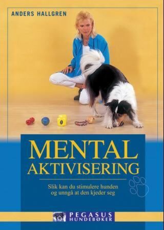 Mental aktivisering