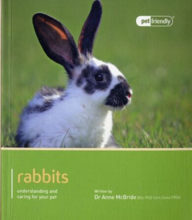 Rabbit - Pet Friendly