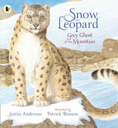 Snow Leopard: Grey Ghost of the Mountain