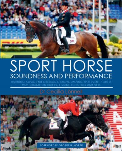 Sport Horse