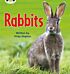 Bug Club Phonics Non Fiction Year Two Phase 5 Set 27 Rabbits