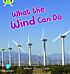 Bug Club Phonics  ?  Phase 5 Unit 16: What the Wind Can Do