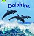 Bug Club Phonics  ?  Phase 5 Unit 13: Dolphins