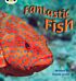 Bug Club Phonics Non Fiction Year 1 Phase 4 Set 12 Fantastic Fish