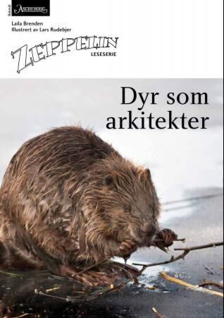 Dyr som arkitekter