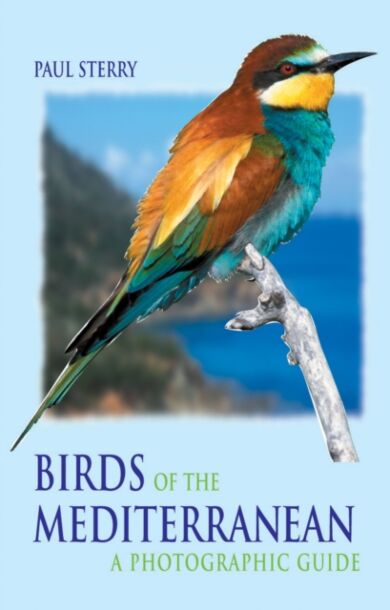 Birds of the Mediterranean