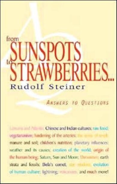 From Sunspots to Strawberries