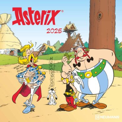 Kalender 2025 Asterix 30x30cm