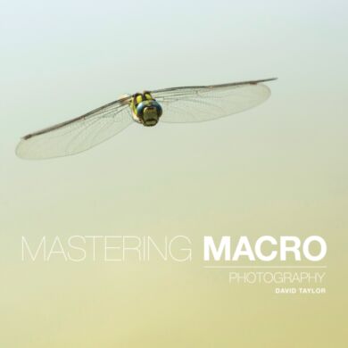 Mastering Macro Photography