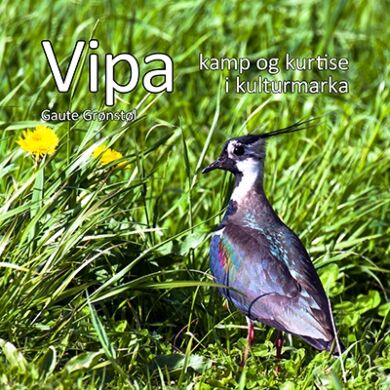 Vipa