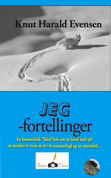 Jeg-fortellinger