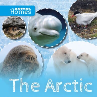 The Arctic