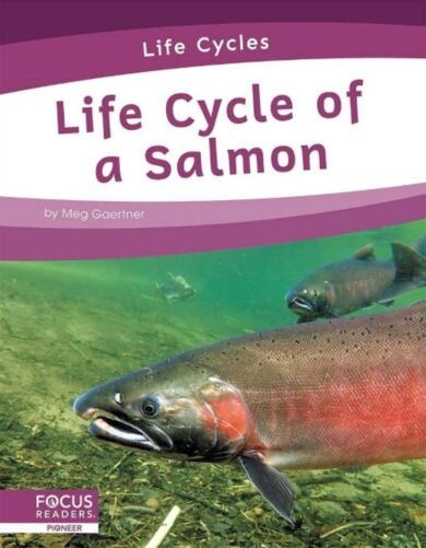 Life Cycles: Life Cycle of a Salmon