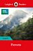 Ladybird Readers Level 4 - BBC Earth - Forests (ELT Graded Reader)