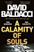 A Calamity of Souls