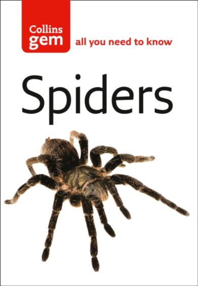 Spiders