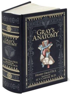 Gray's Anatomy (Barnes & Noble Collectible Editions)