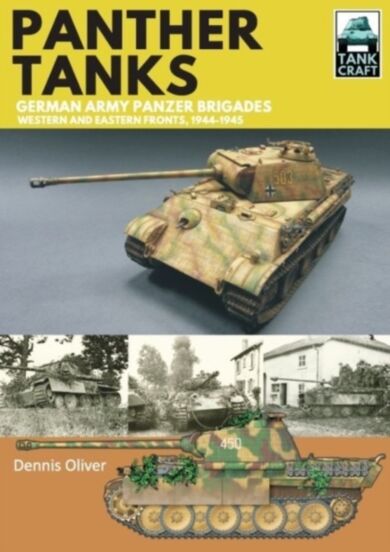 Panther Tanks: Germany Army Panzer Brigades