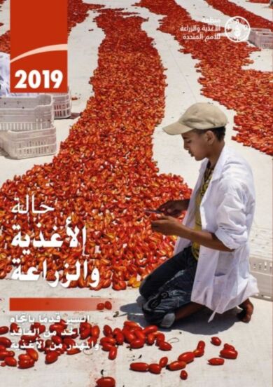 The State of Food and Agriculture 2019 (Arabic Edition)