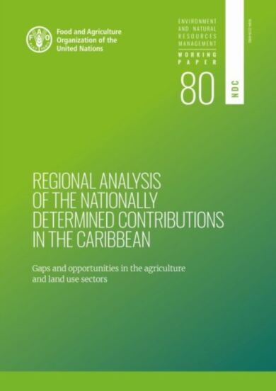 Regional analysis of the nationally determined contributions in the Caribbean