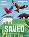 Readerful Independent Library: Oxford Reading Level 8: Saved