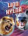 Lion vs Hyena