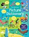 Picture Dictionary