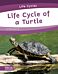 Life Cycles: Life Cycle of a Turtle