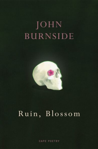 Ruin, Blossom