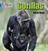 Gorillas